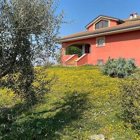 Belle Marche Bed and Breakfast Civitanova Alta Εξωτερικό φωτογραφία