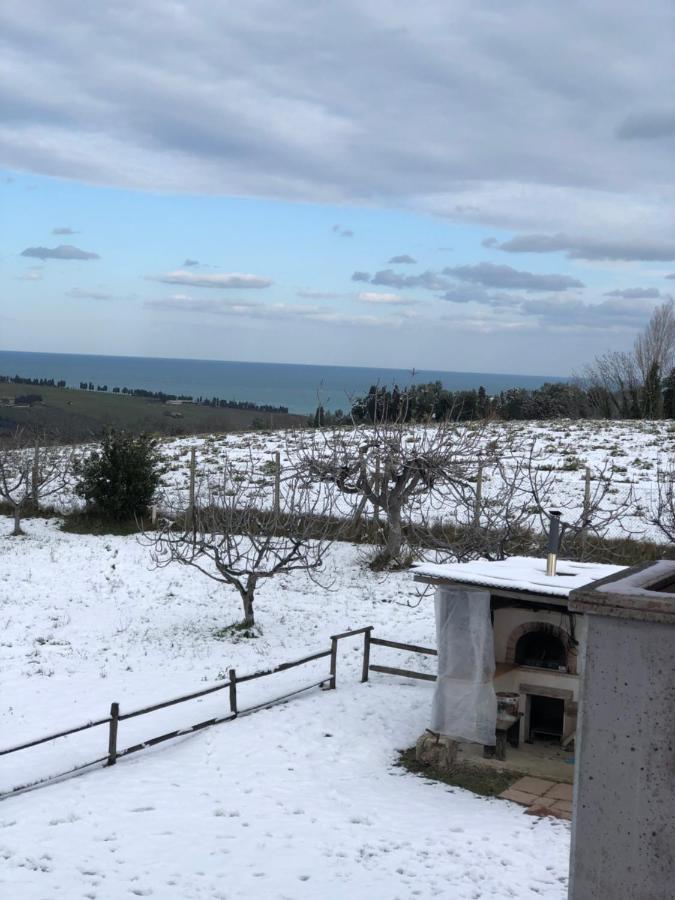 Belle Marche Bed and Breakfast Civitanova Alta Εξωτερικό φωτογραφία